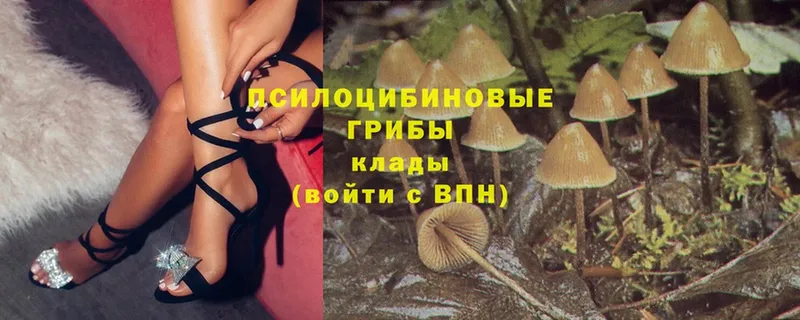 Галлюциногенные грибы MAGIC MUSHROOMS  Нарьян-Мар 